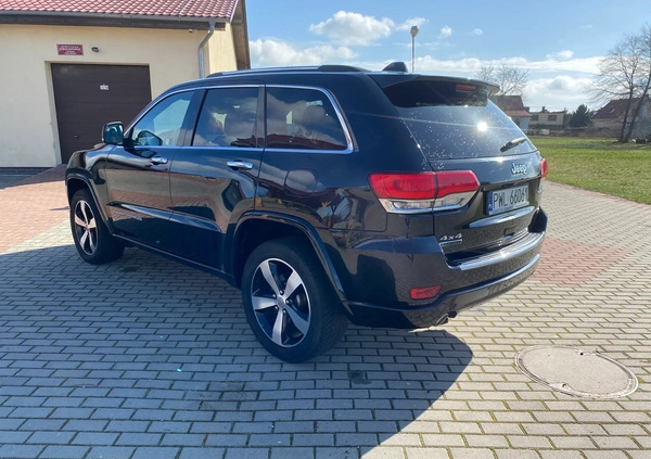 Jeep Grand Cherokee cena 109000 przebieg: 116900, rok produkcji 2015 z Wolsztyn małe 667